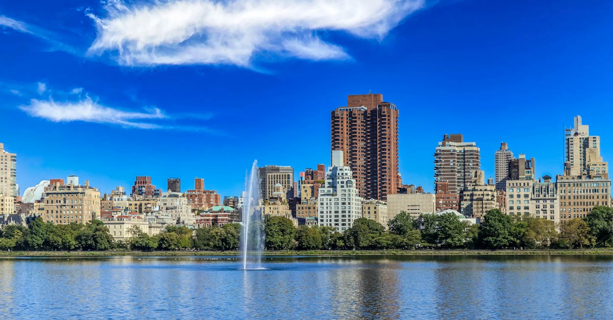 Addressing Environmental Concerns with Chemical Termite Solutions