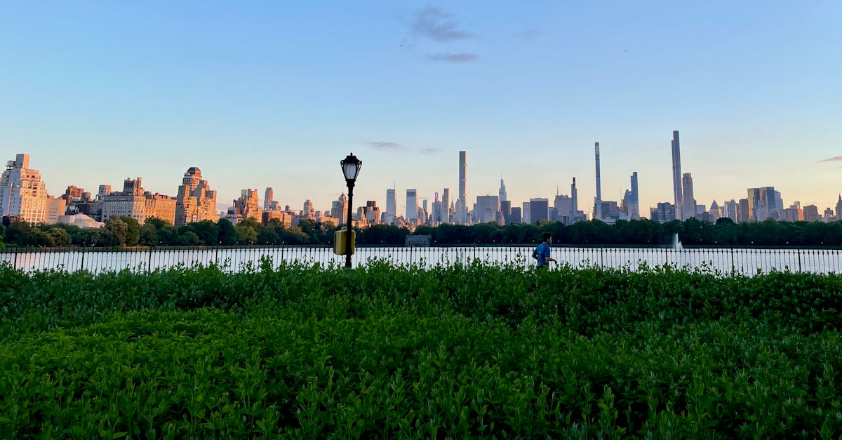 Common Exclusions in Termite Treatment Insurance Policies