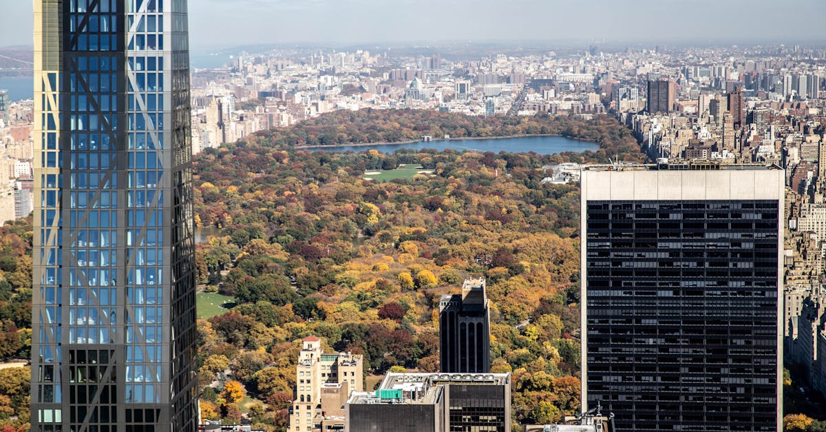 Common Myths About Borate Wood Treatments Debunked