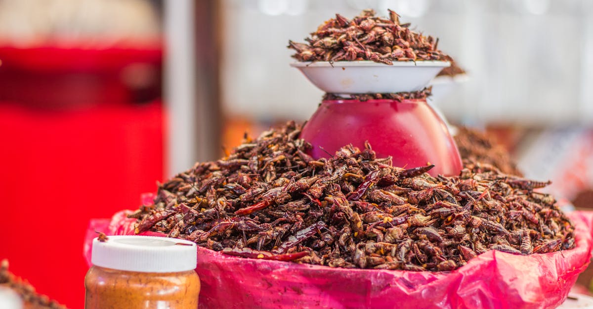 How Borate Treatments Work to Protect Your Home from Termites