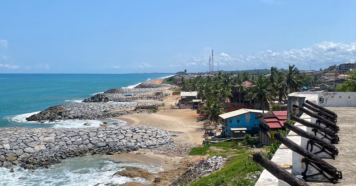 Long-Term Performance of Fumigation Techniques in Termite Management