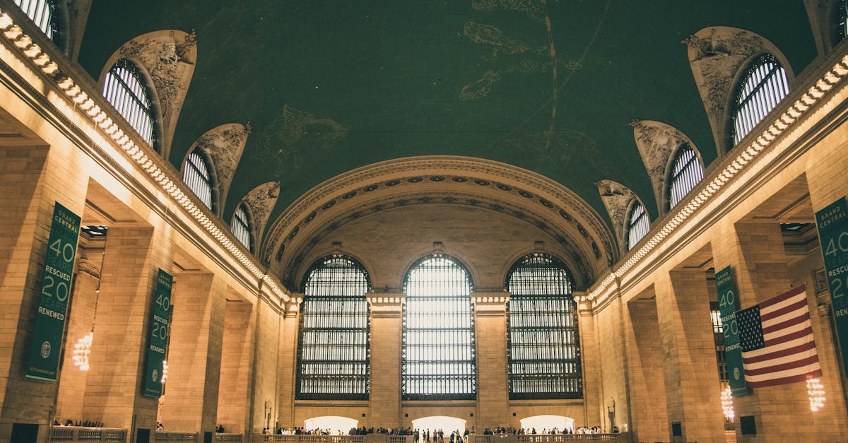 The Impact of Termite Insurance on Homeowner Peace of Mind