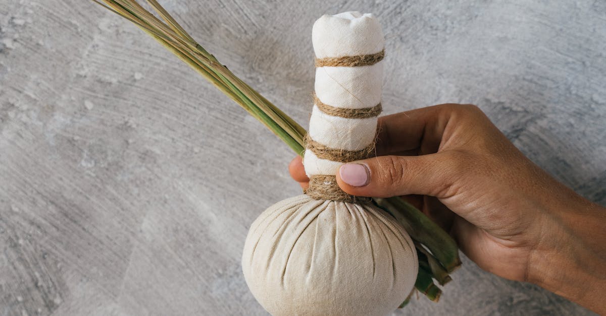 The Importance of Regular Inspections in Termite Prevention