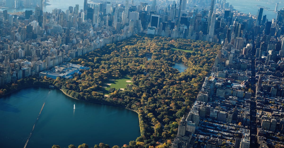 The Integration of Beneficial Insects in Termite Management